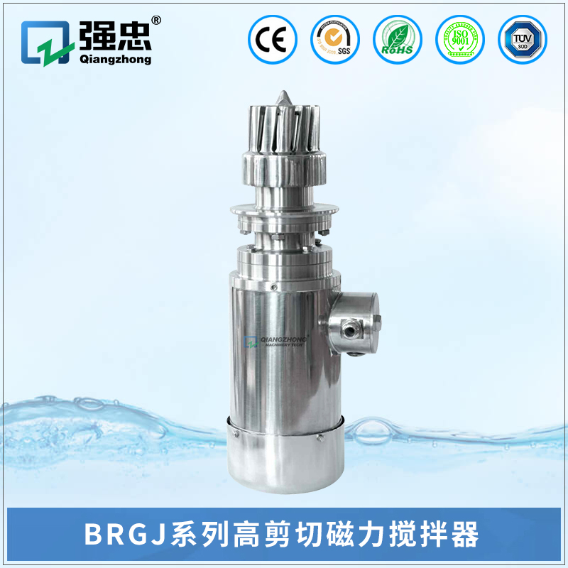 BRGJ华亿游戏网（中国）安卓通用版高剪切磁力搅拌器
